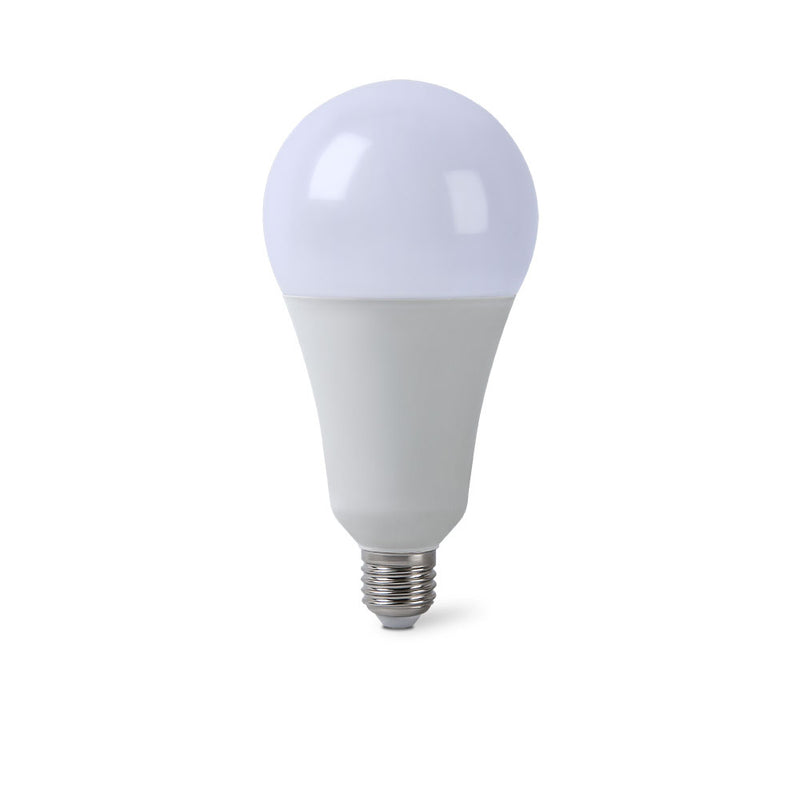 LAMPADINA LED E27 25W A95-25W-C